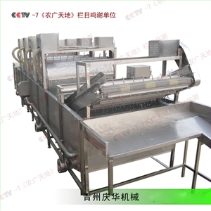 全自動綠豆芽清洗機(jī)